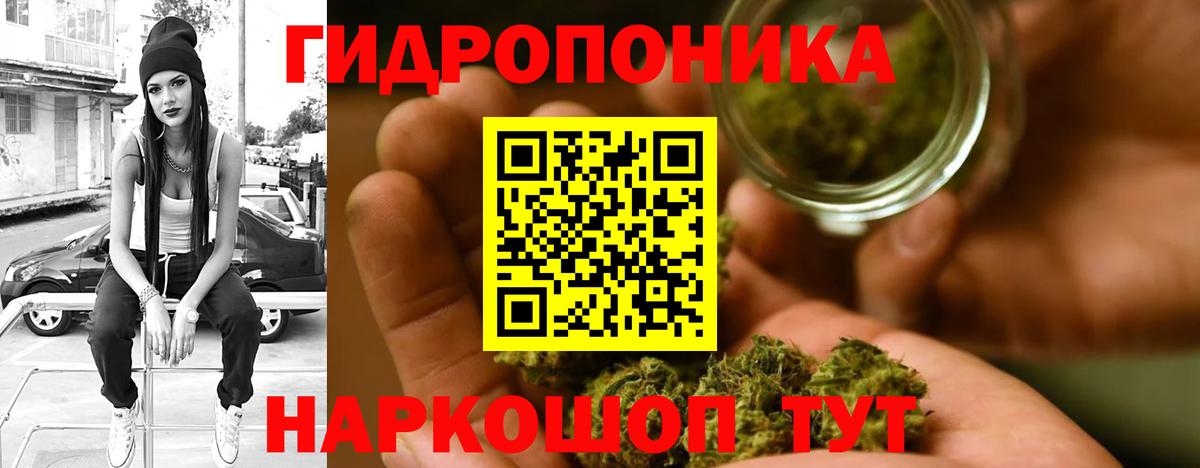 Бошки Шишки MAZAR  Канабис MAZAR  Ялта  Вход с VPN 